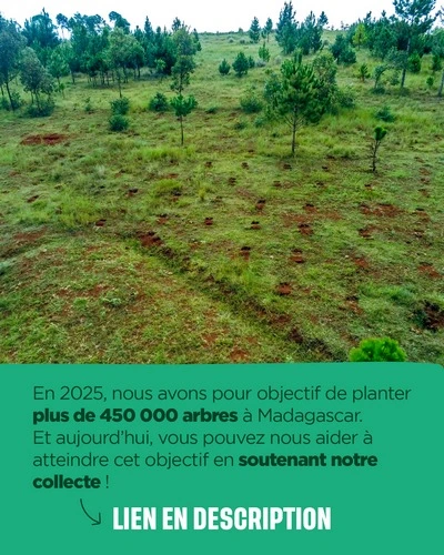 En 2025, nous avons pour objectif de planter plus de 450 000 arbres à Madagascar.