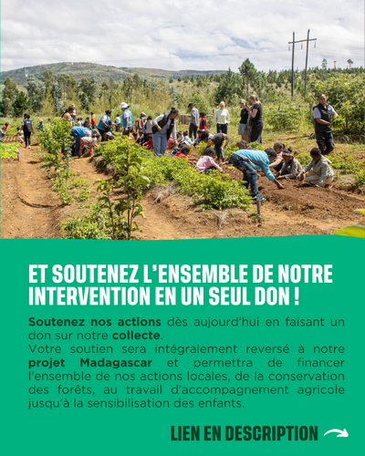 Soutenez nos actions dès aujourd’hui en faisant un don sur notre collecte. Votre soutien sera intégralement reversé à notre projet Madagascar et permettra de financer l’ensemble de nos actions locales, de la conservation des forêts tropicales sèches à la sensibilisation des enfants.