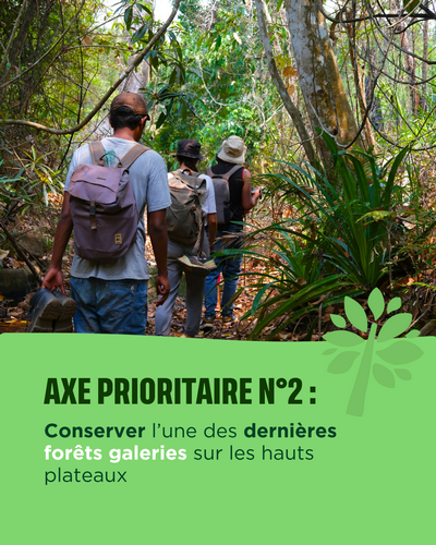 Axe prioritaire n°2 : Conserver l'une des dernières forêts galeries sur les hauts plateaux