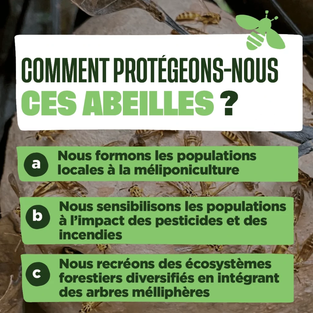 Comment protégeons-nous ces abeilles ?