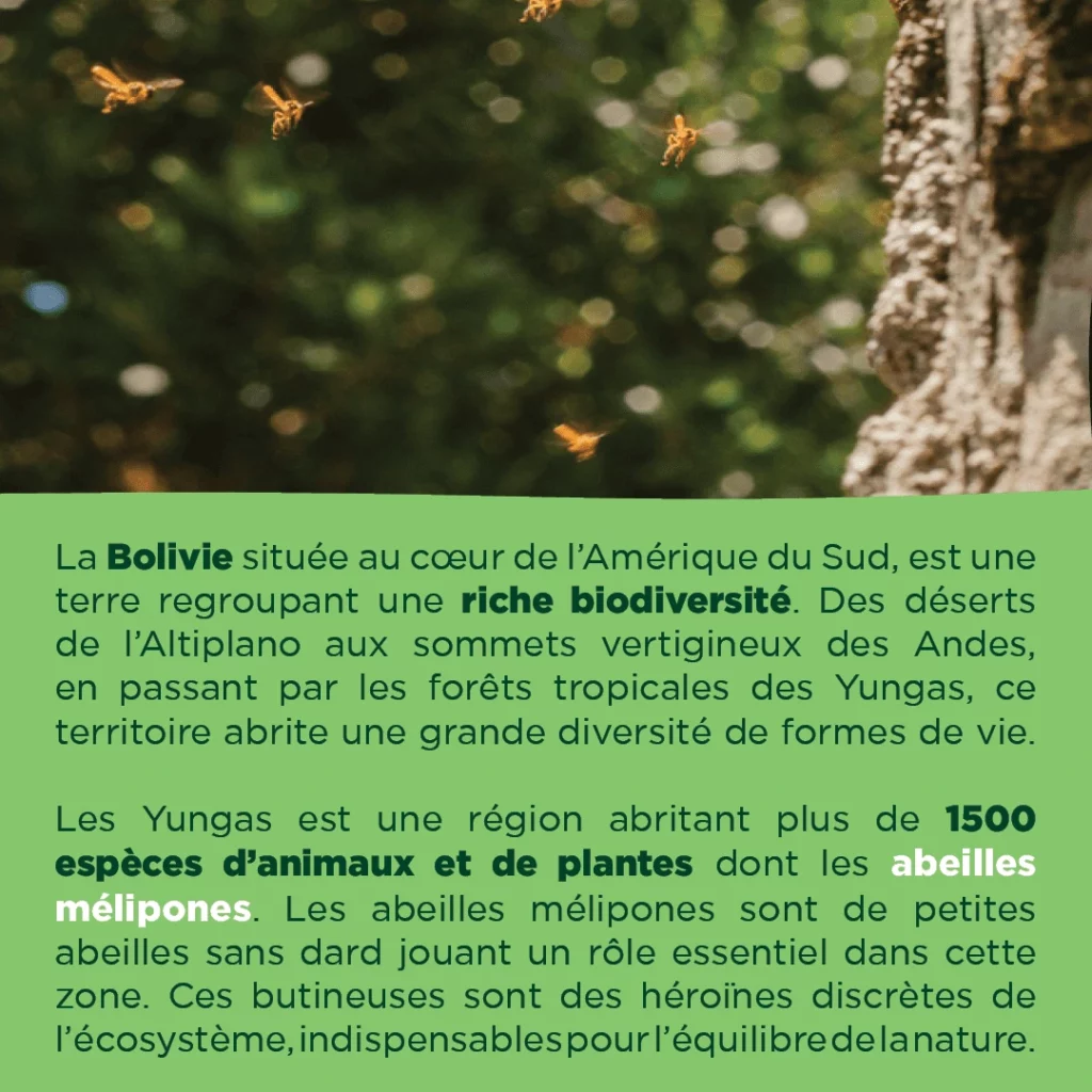 explications