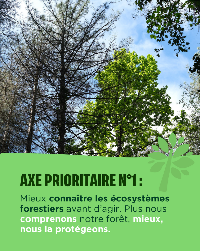 Axe prioritaire 1 : Mieux connaître les écosystèmes forestiers avant d'agir