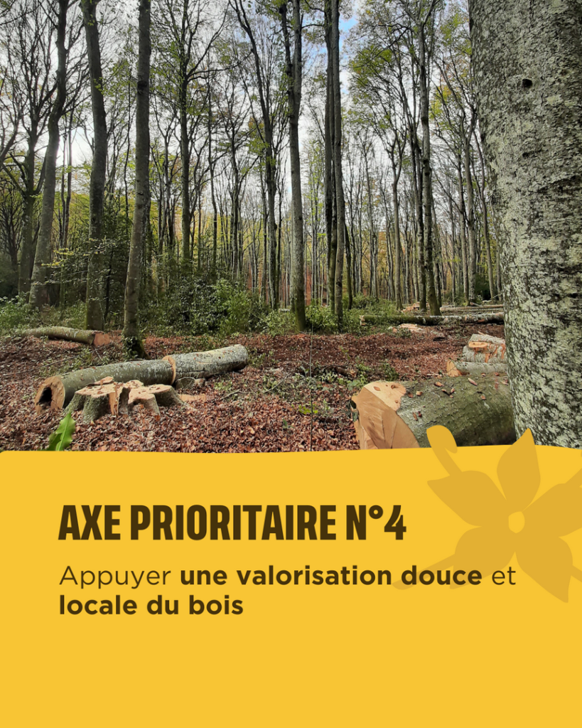 Axe prioritaire 4 : appuyer une valorisation douce et locale du bois